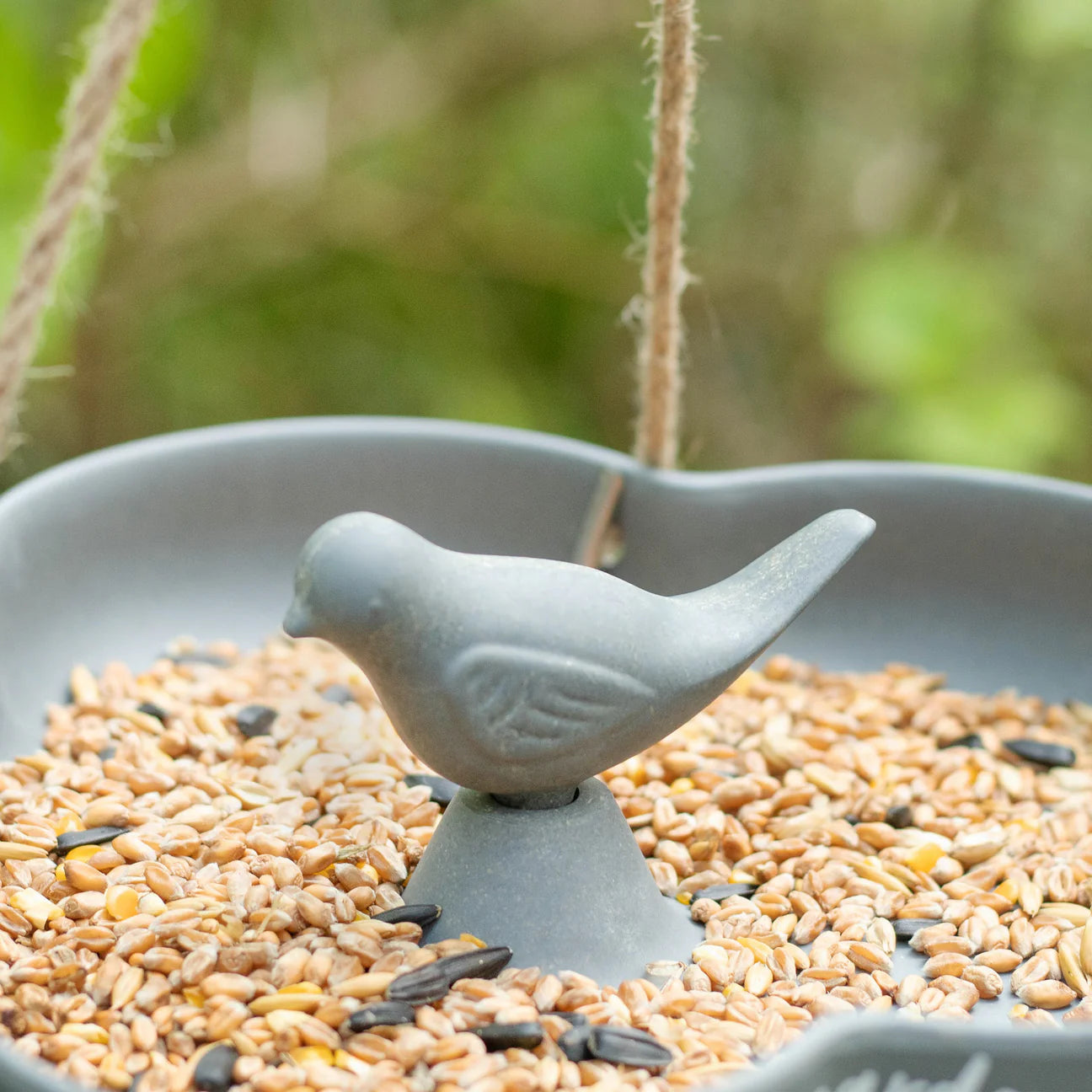 Personalised Bird Feeder