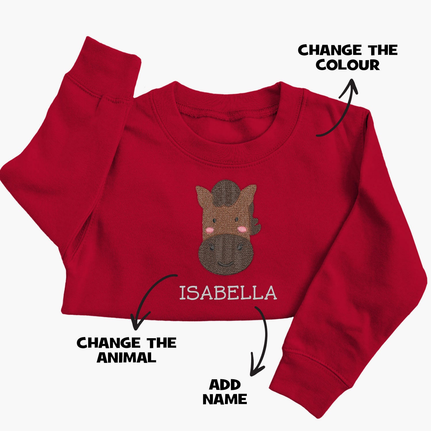 Personalised 'On The Wild Side' Embroidered Children's Horse Jumper