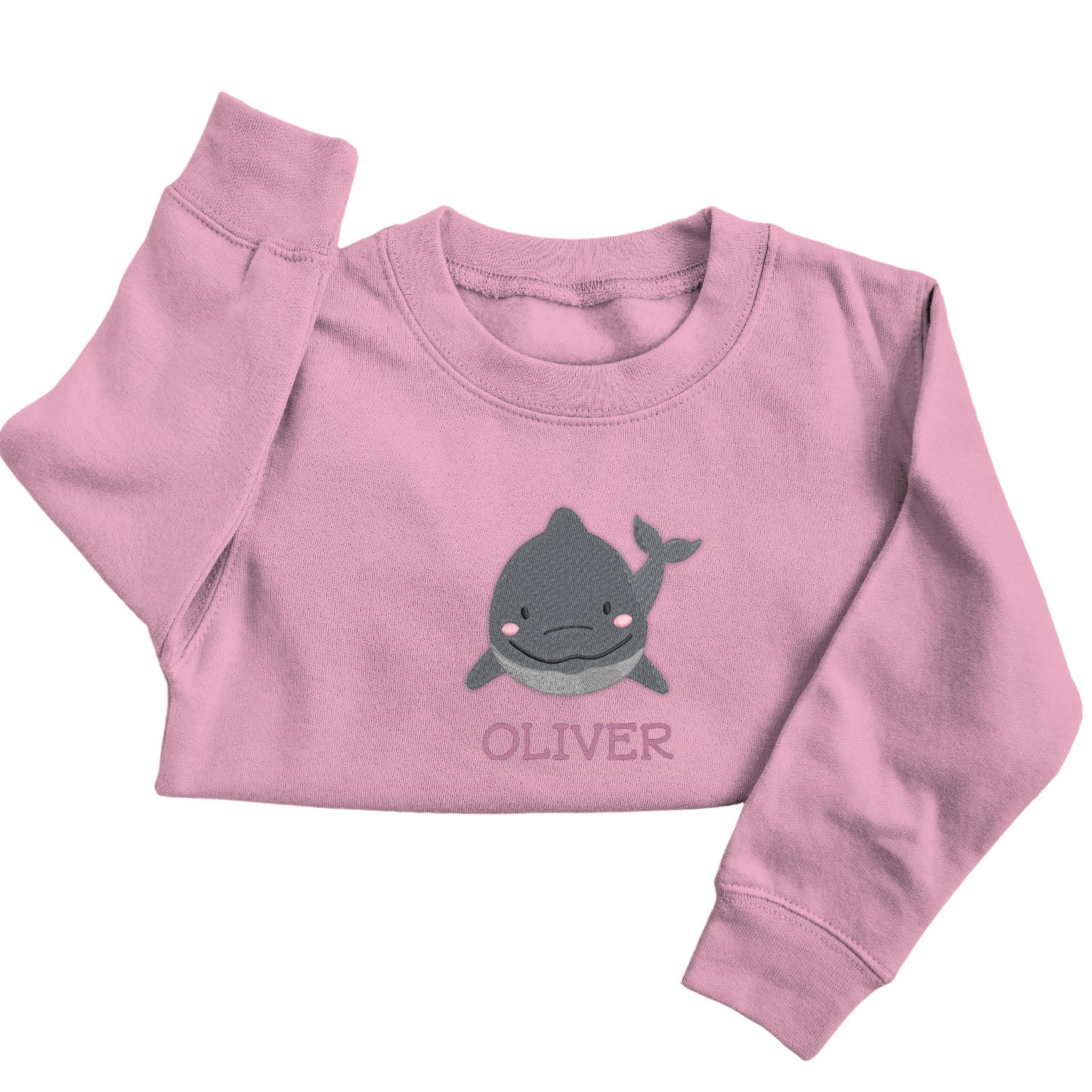 Personalised 'On The Wild Side' Embroidered Children's Dolphin Jumper