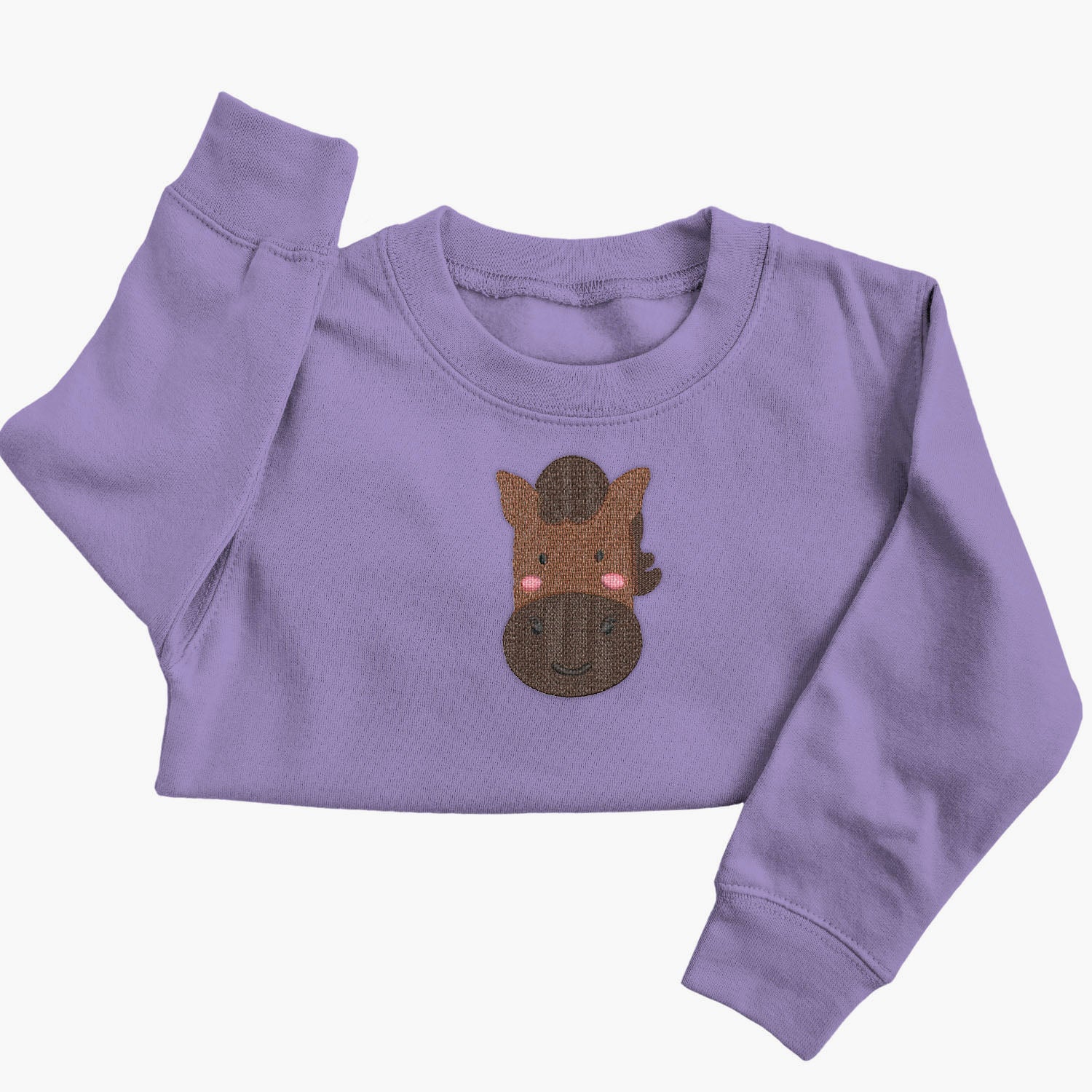 Personalised 'On The Wild Side' Embroidered Children's Horse Jumper