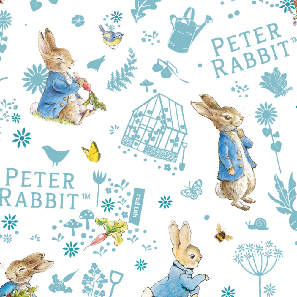 Peter Rabbit Piggy Bank