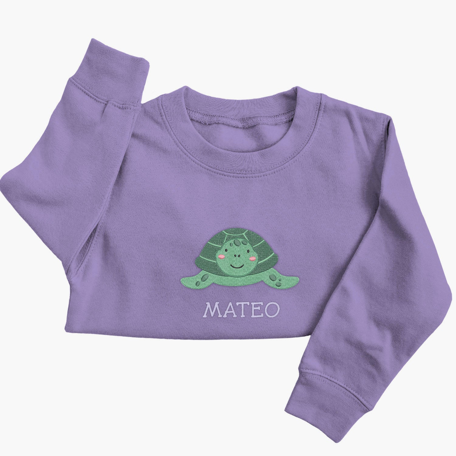 Personalised 'On The Wild Side' Embroidered Children's Turtle Jumper