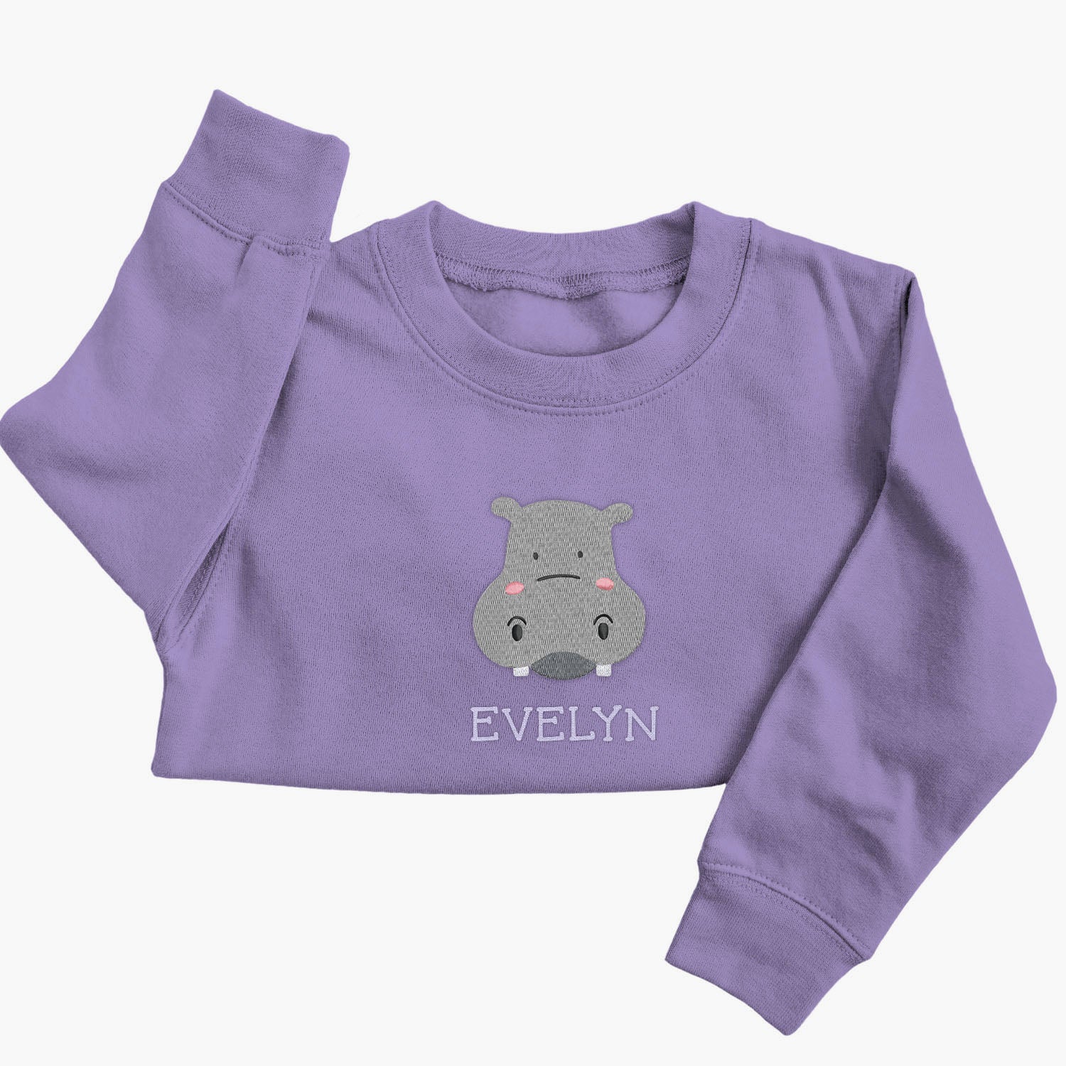 Personalised 'On The Wild Side' Embroidered Children's Hippo Jumper