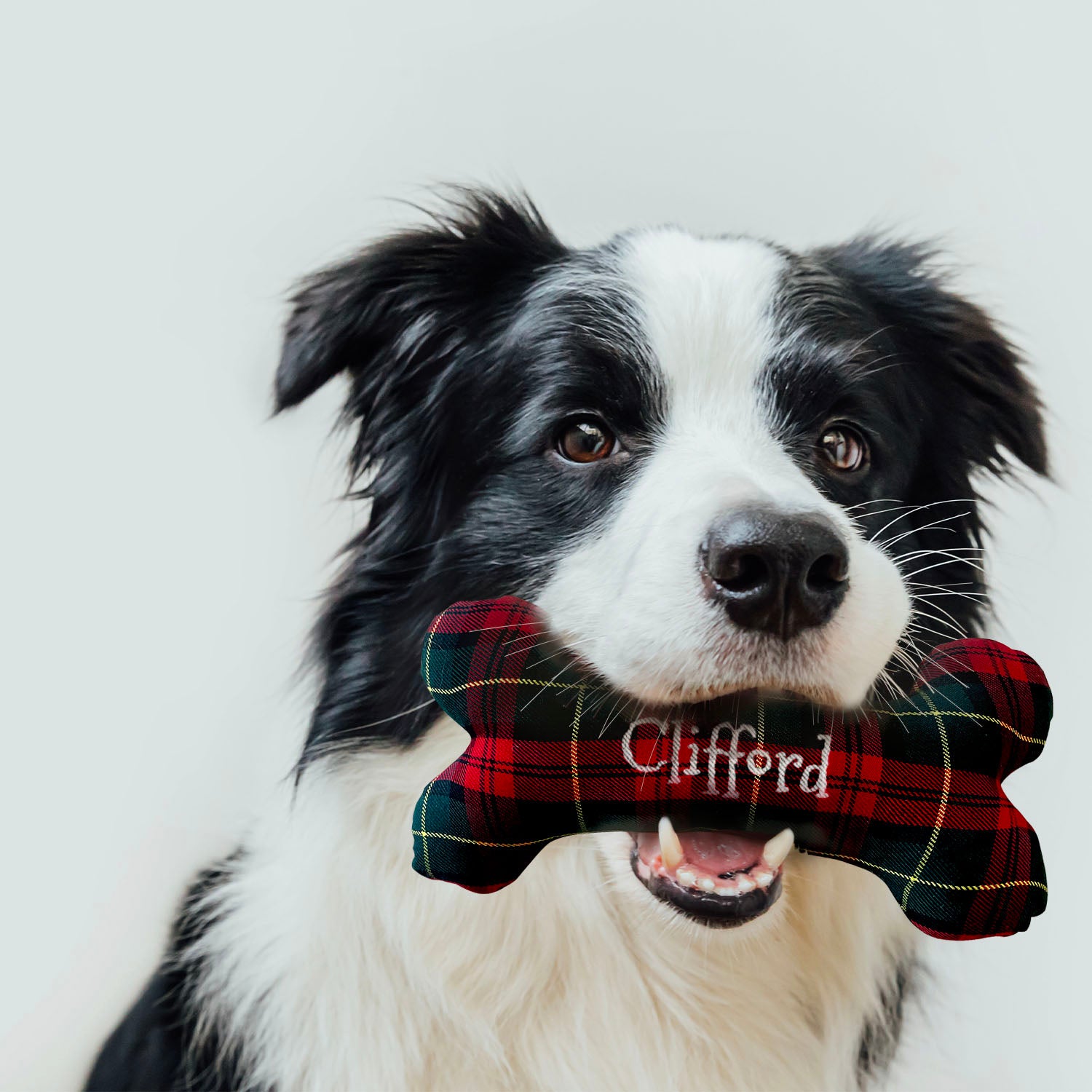 Personalised Christmas Tartan Dog Bone Toy