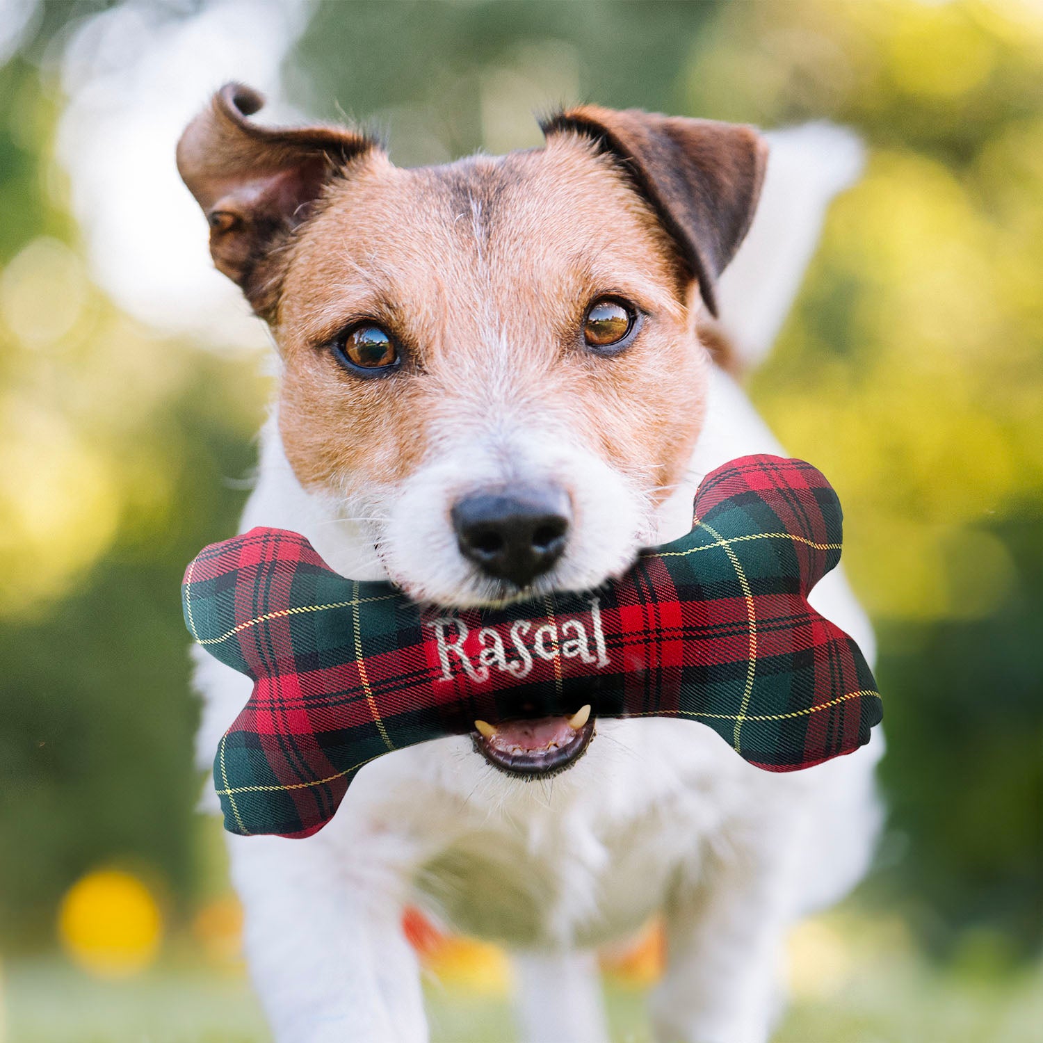 Personalised Tartan Dog Bone Toy