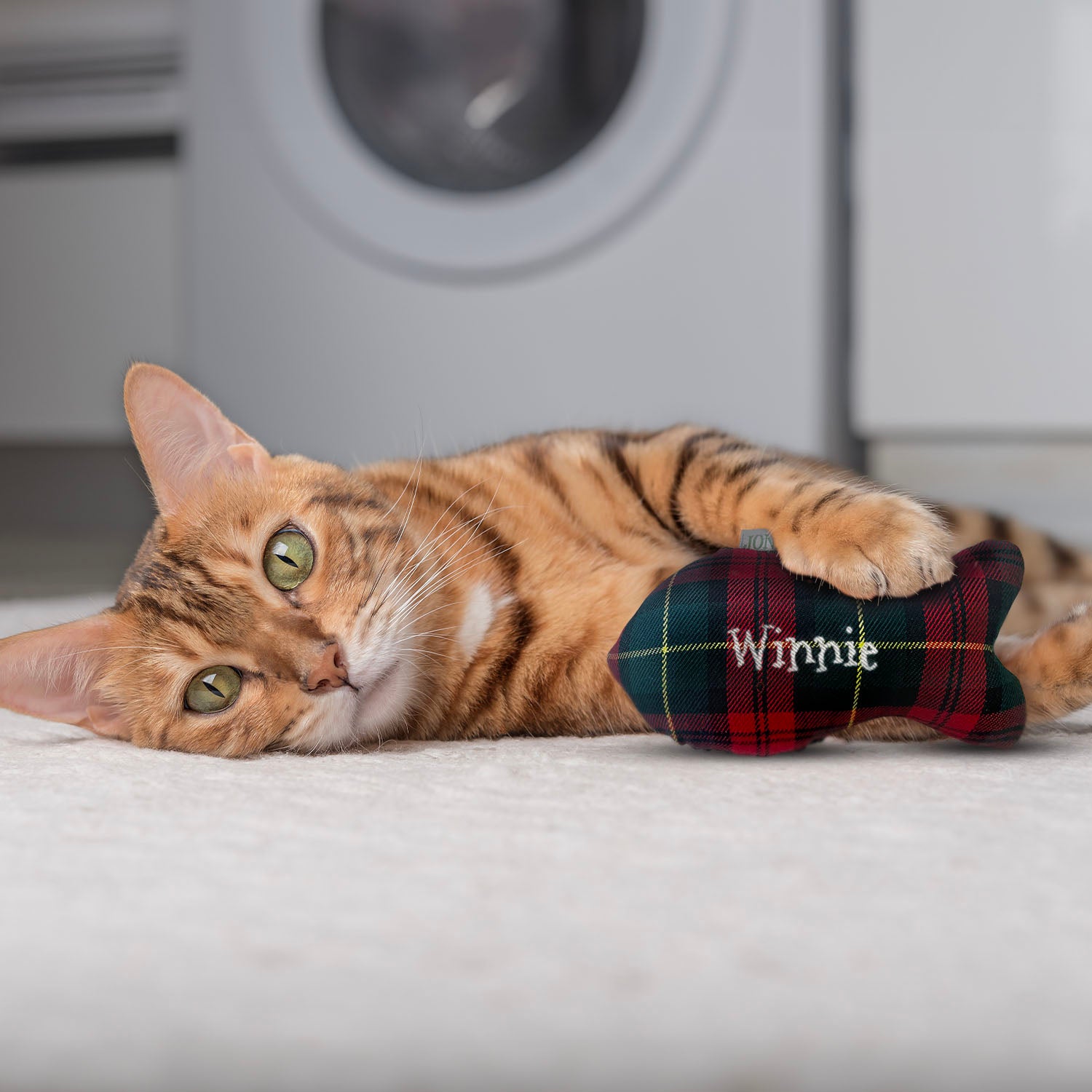 Personalised Christmas Tartan Cat Fish Toy