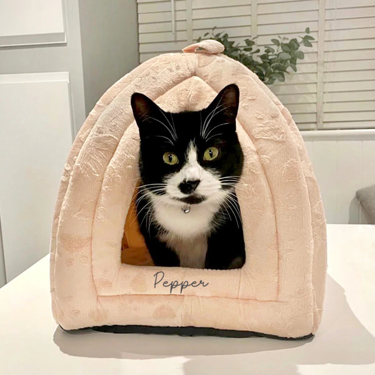 Personalised Cat House